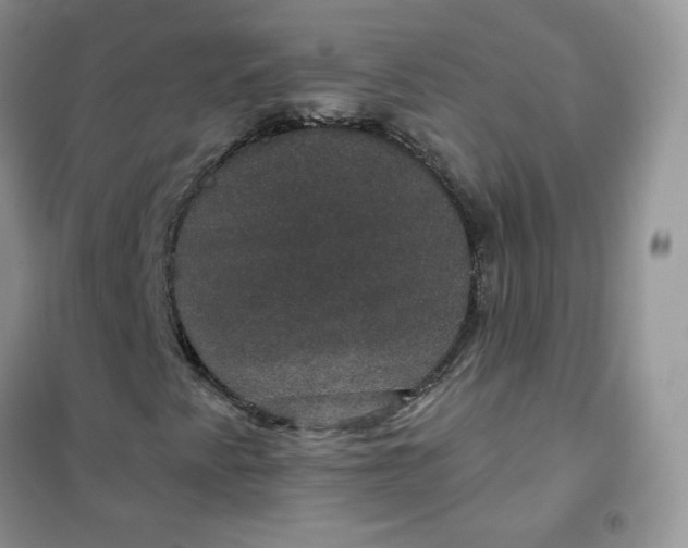 X0000102041345200808011501