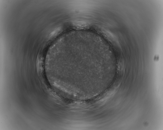 X0000102041346200808011501