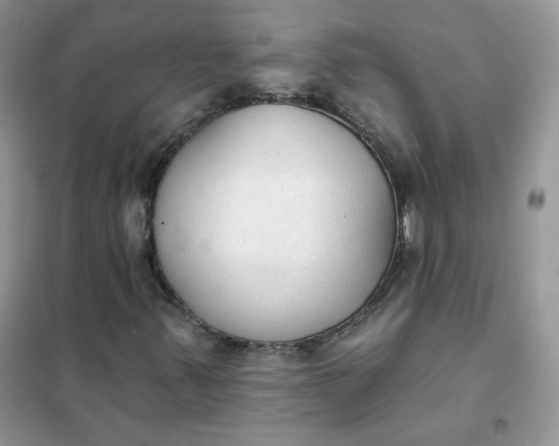 X0000102041347200808011501