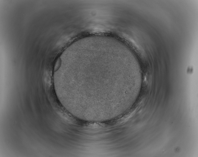 X0000102041348200808011501