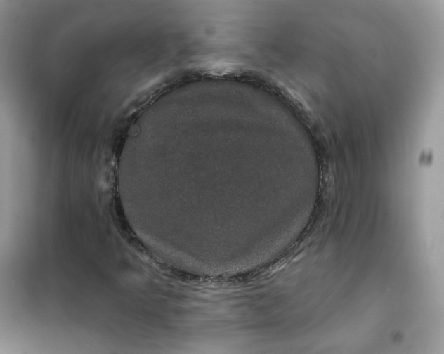 X0000102041349200808011501