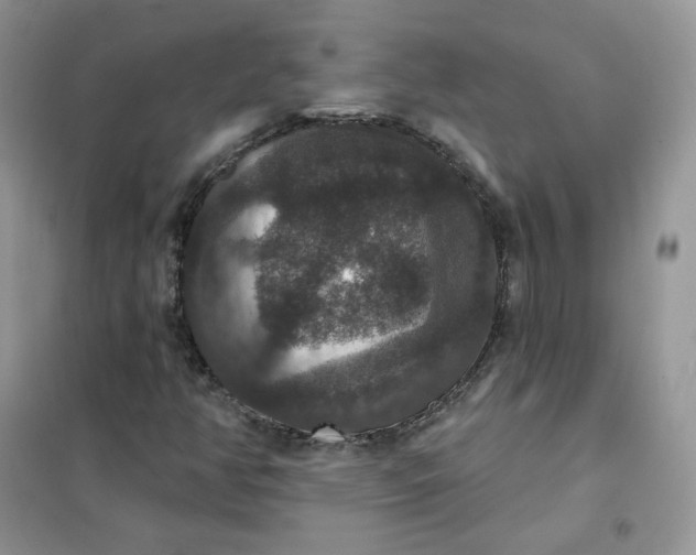 X0000102041350200808011501