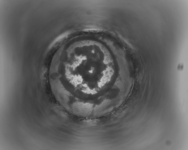 X0000102041351200808011501