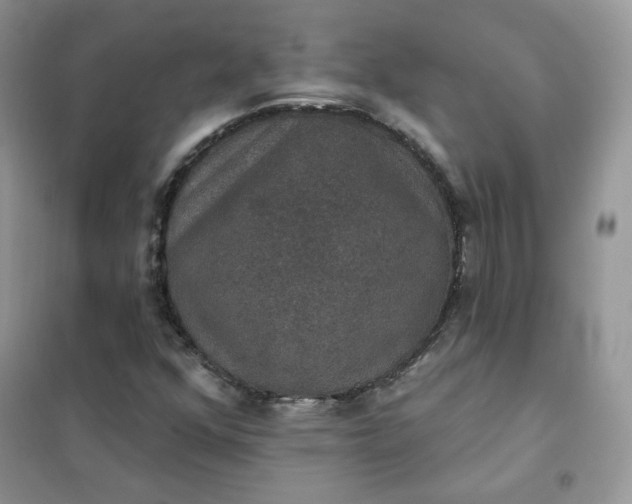 X0000102041352200808011501