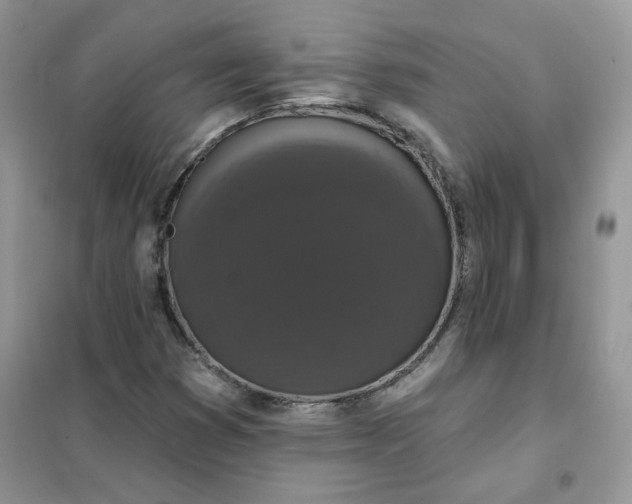 X0000102041353200808011501