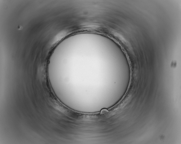 X0000102041354200808011501