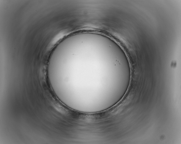 X0000102041355200808011501