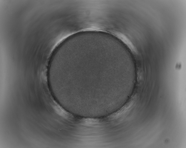 X0000102041356200808011501