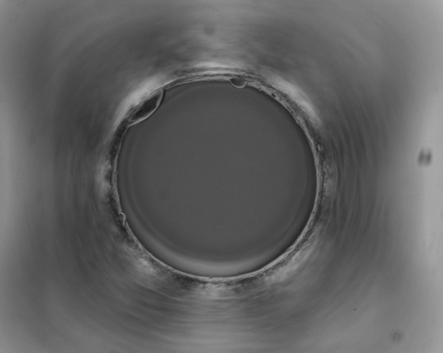 X0000102041357200808011501