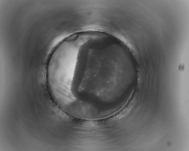 X0000102041358200808011501