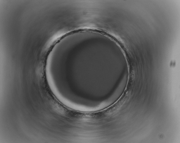 X0000102041359200808011501