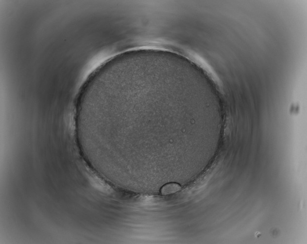 X0000102041360200808011501