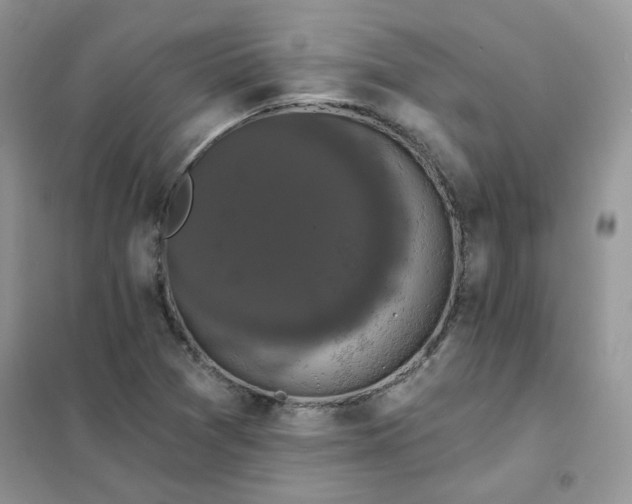 X0000102041361200808011501