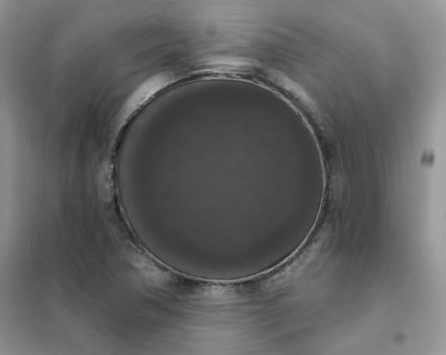 X0000102041362200808011501