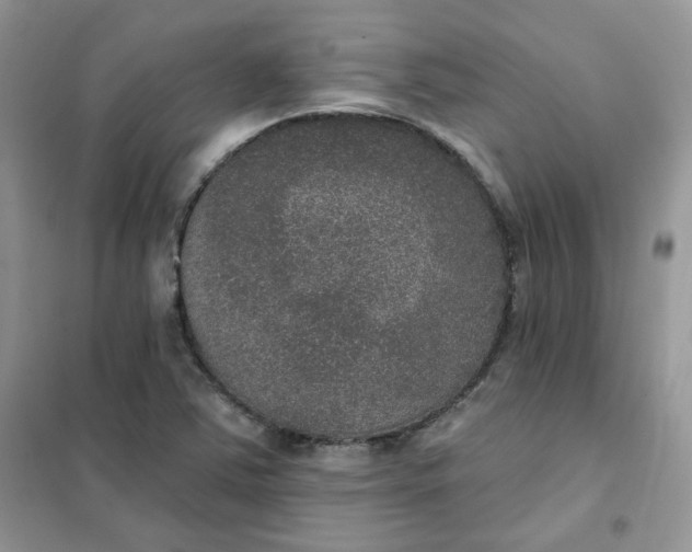 X0000102041363200808011501