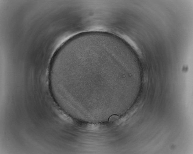 X0000102041364200808011501