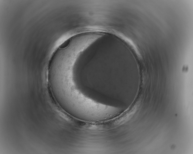 X0000102041365200808011501