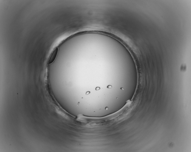 X0000102041366200808011501