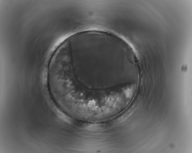 X0000102041367200808011501