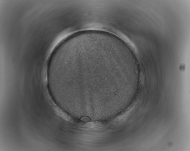 X0000102041368200808011500