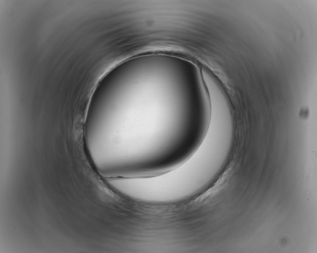 X0000102041369200808011500