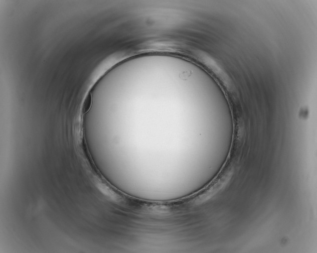 X0000102041370200808011500