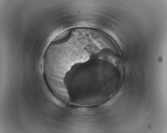 X0000102041371200808011500