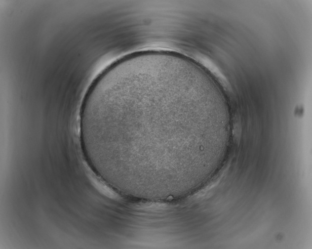 X0000102041372200808011500