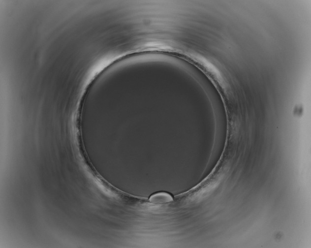 X0000102041373200808011500