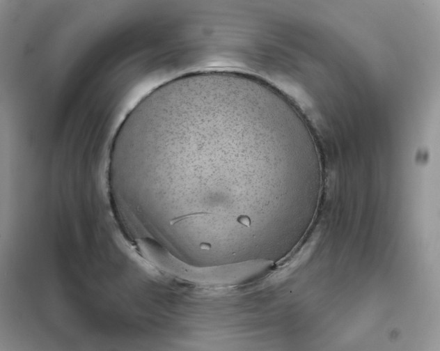 X0000102041374200808011500