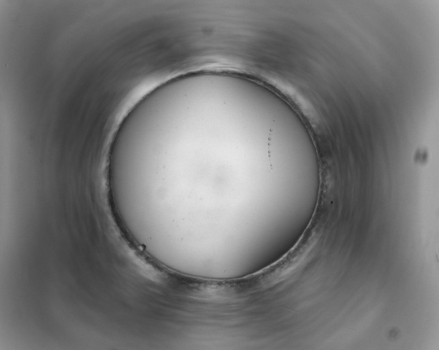 X0000102041375200808011500