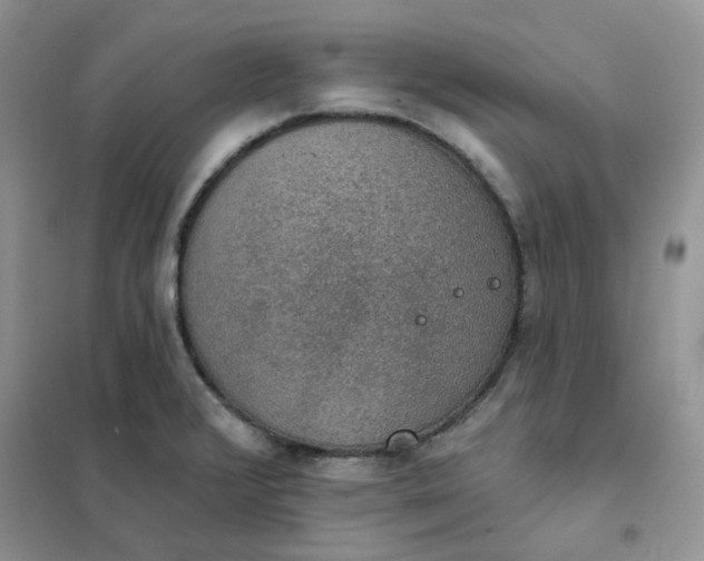 X0000102041376200808011500