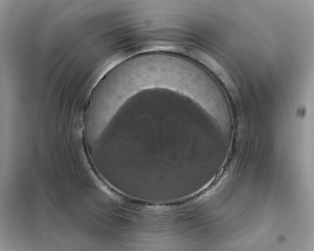 X0000102041377200808011500