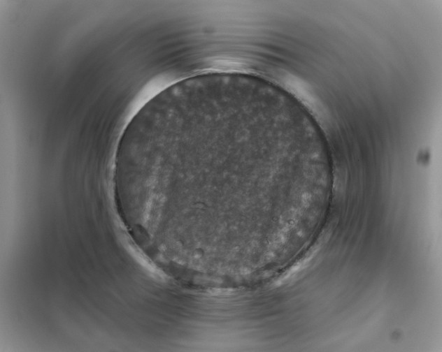 X0000102041378200808011500