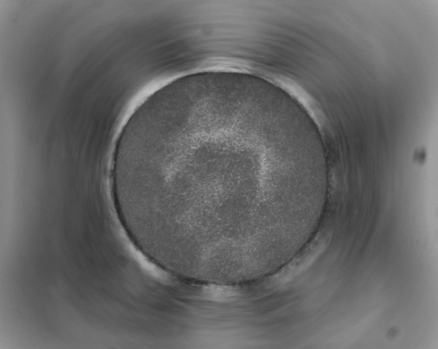 X0000102041379200808011500