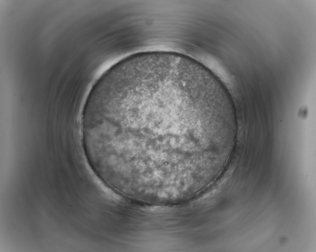 X0000102041380200808011500