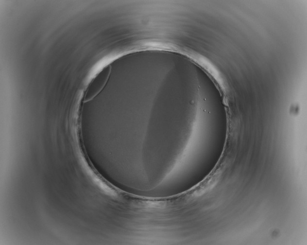 X0000102041381200808011500