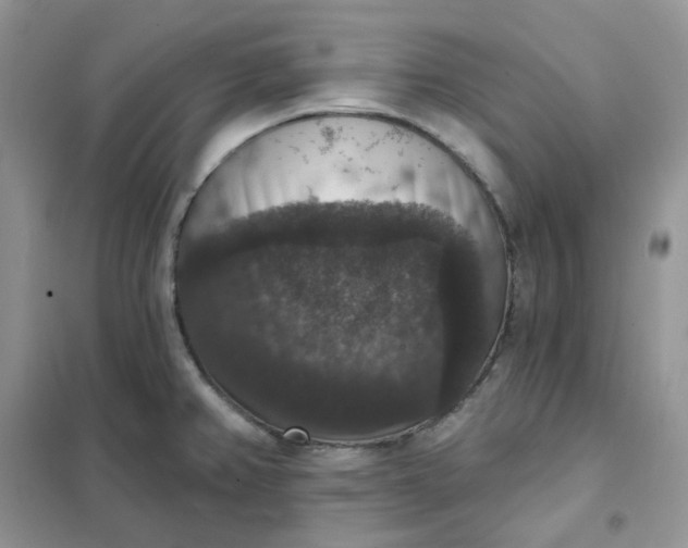 X0000102041382200808011500