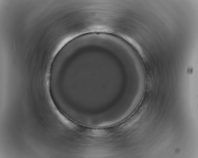 X0000102041383200808011500