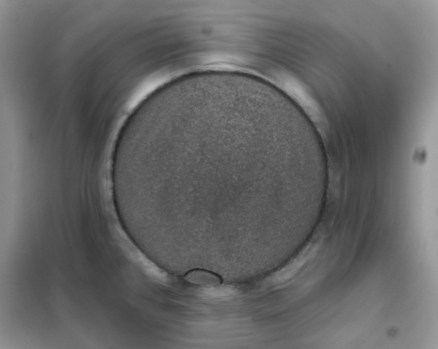 X0000102041384200808011500