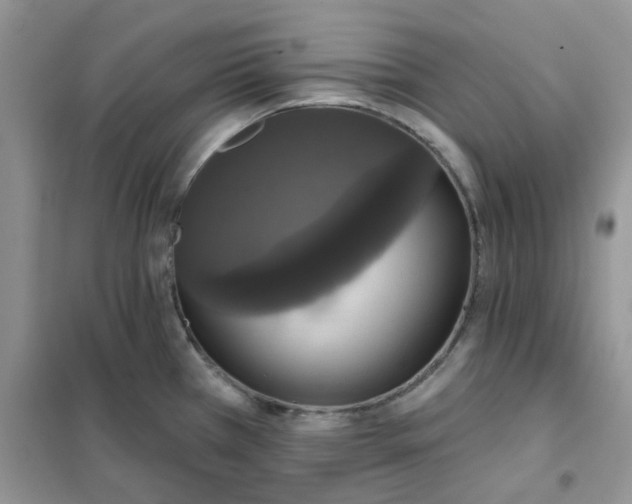 X0000102041385200808011500