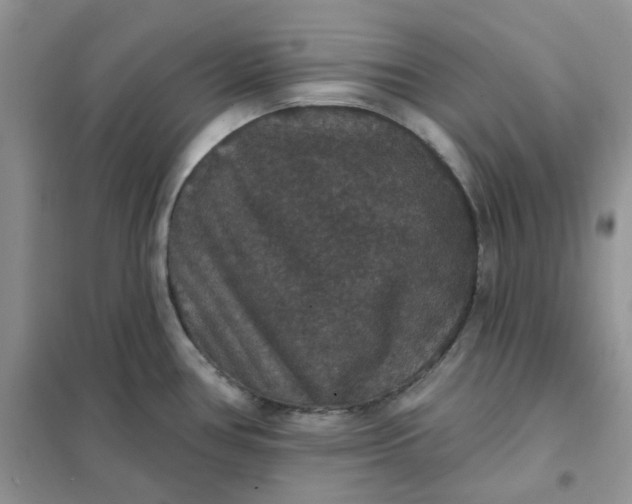 X0000102041386200808011500