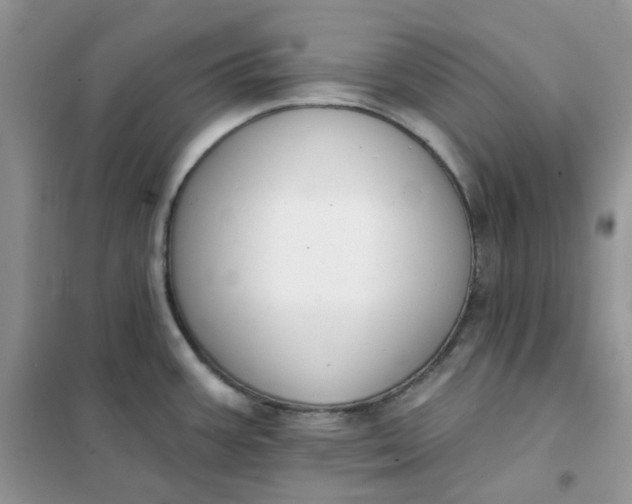 X0000102041387200808011500