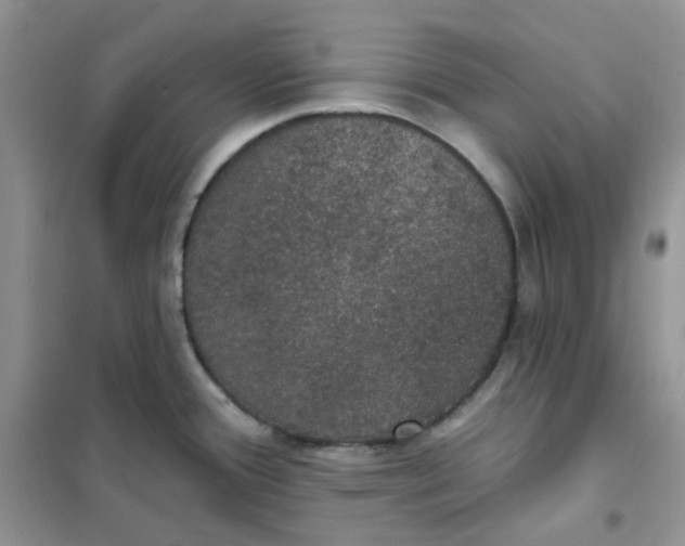 X0000102041388200808011500