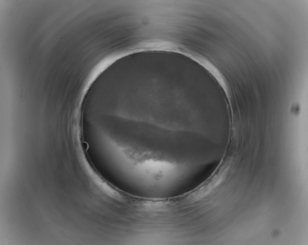 X0000102041389200808011500