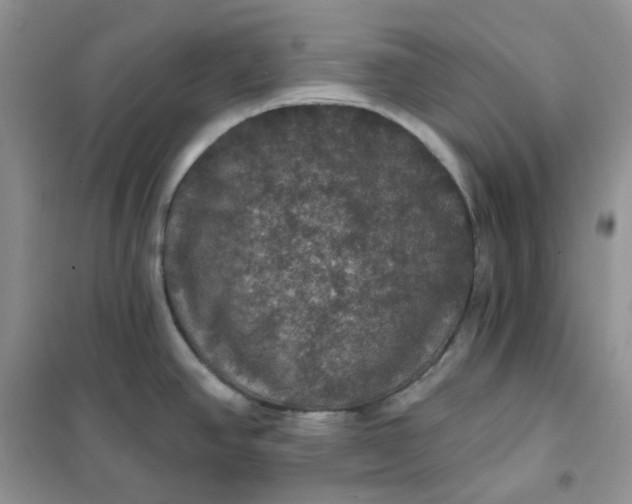 X0000102041390200808011500