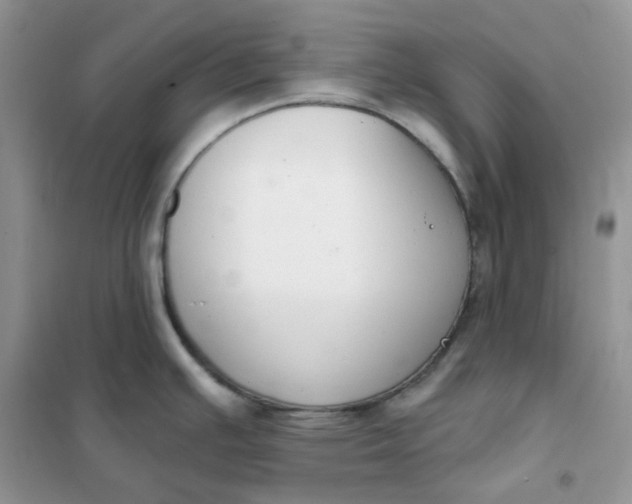 X0000102041391200808011500