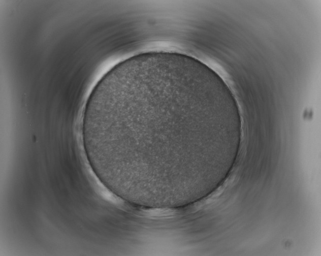 X0000102041392200808011500