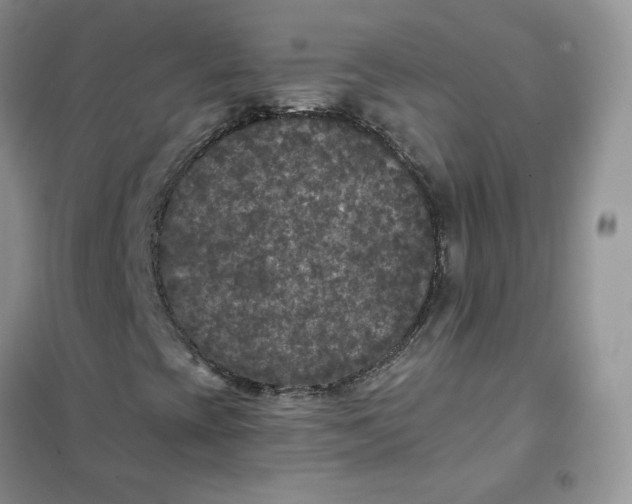 X0000102041393200808011459