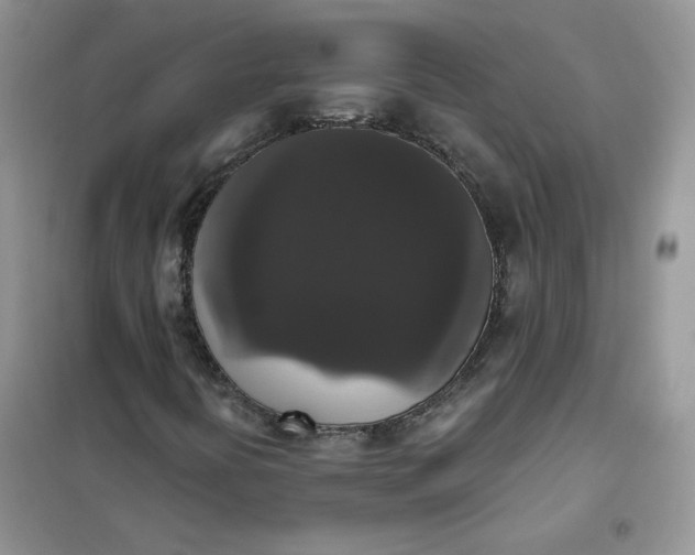 X0000102041394200808011459